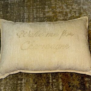 Wake me for Champagne 🍾 🥂 pillow new